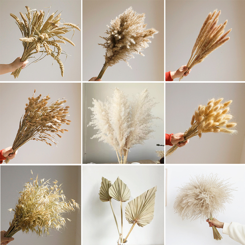 Baby Nursery Ornaments - Fleurs séchées Wabi-sabi, roseaux naturels, vraies